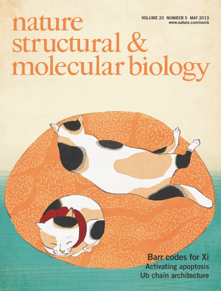 Nature Structural & Molecular Biology」（2013年5月号）の表紙