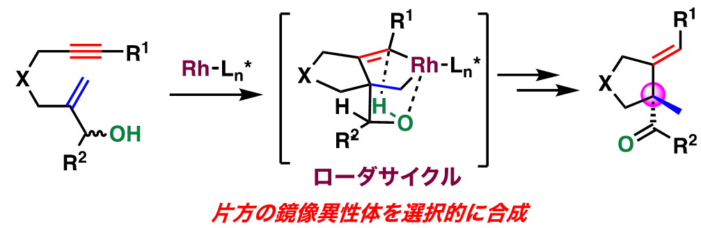 不斉四級炭素を持つ環状化合物の効率的・選択的合成に成功~医薬品や機能性有機材料の合成への応用に期待~（薬学研究院　教授　佐藤美洋、准教授　大西英博）