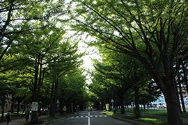 2015.09.30