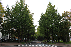 2015.10.05