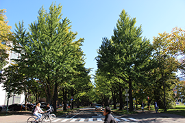 2015.10.07