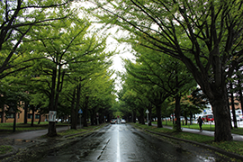 2015.10.09