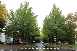 2015.10.09
