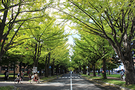 2015.10.14