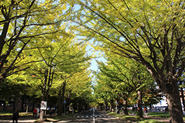 2015.10.16