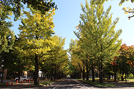 2015.10.16