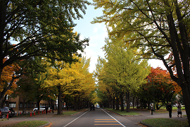 2015.10.19