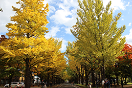 2015.10.21