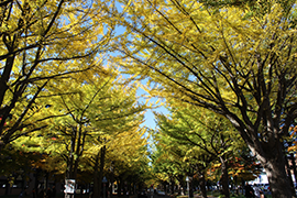 2015.10.22