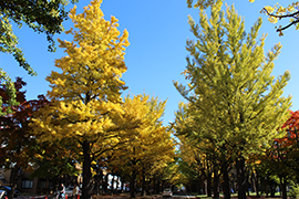 2015.10.22