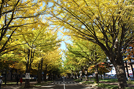 2015.10.23
