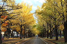 2015.10.28