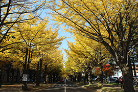 2015.10.30