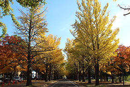 2015.10.30
