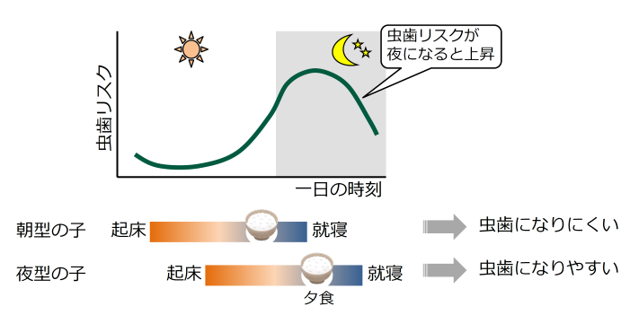 う蝕リスクと生活習慣の関係（画像はプレスリリースより）