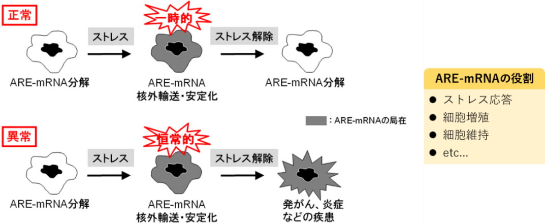 /news/img/200512prpic.png