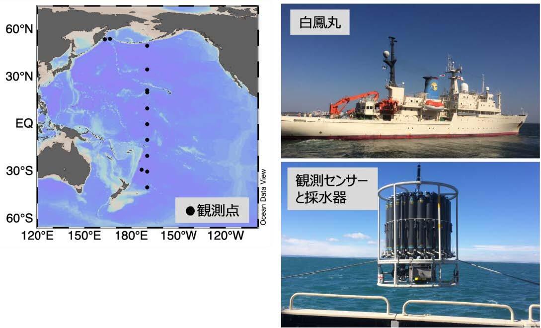 深海に滞留する燃焼由来の溶存物質～太平洋深海における溶存黒色炭素の除去プロセスを発見～