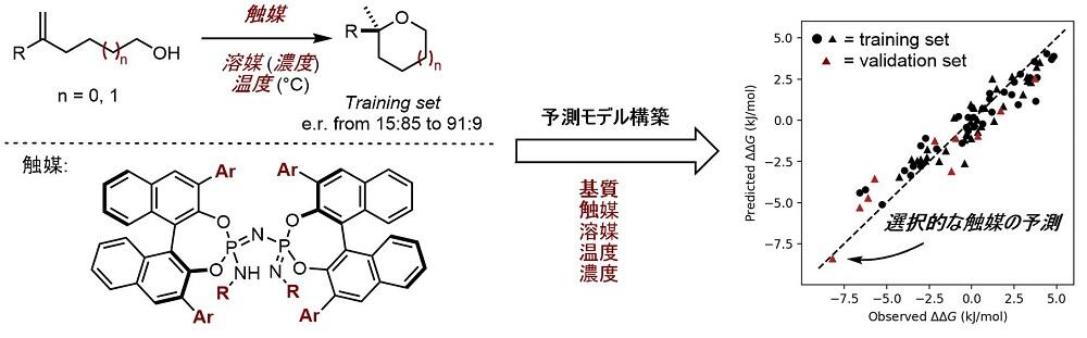 分子記述子