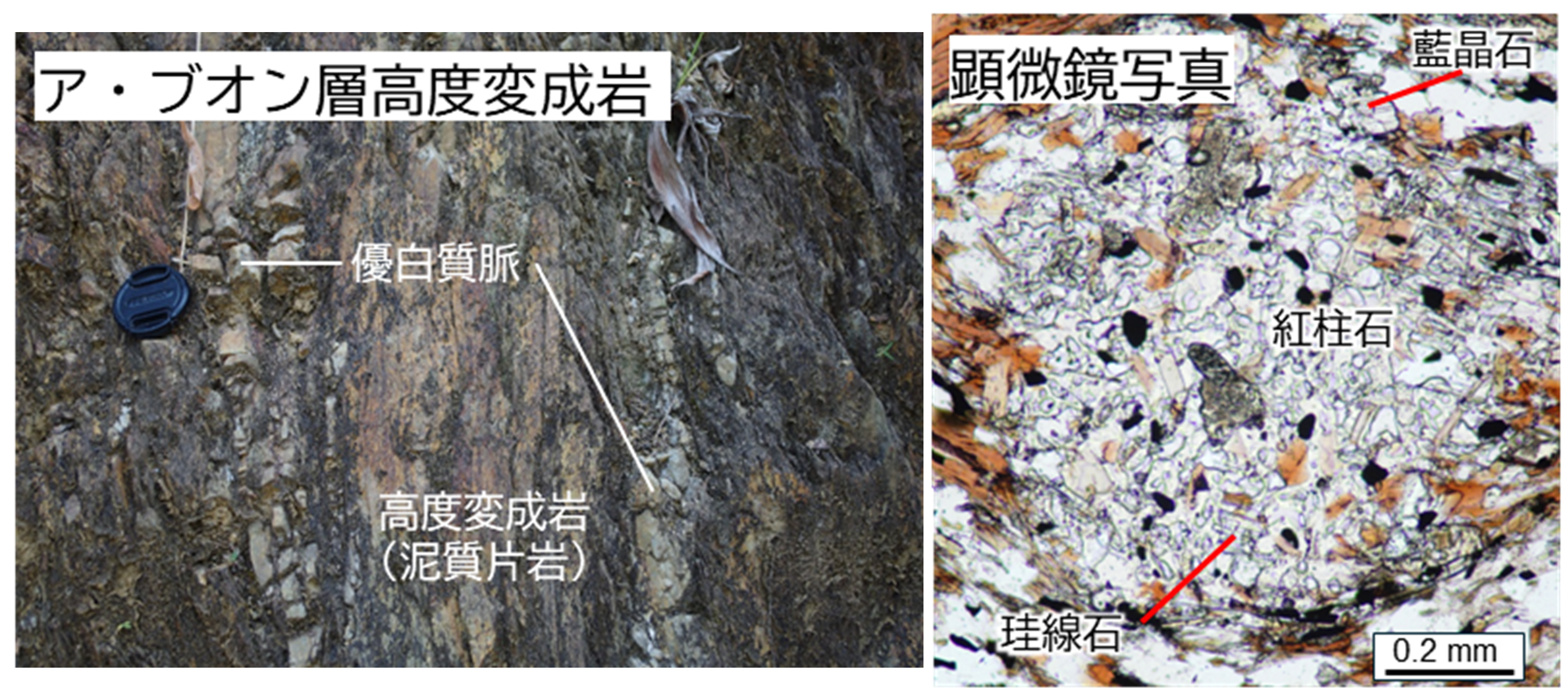 地温勾配の降下を記録した変成岩をベトナムで初めて発見～太古に生じた特異な地殻内物質循環のテクトニクス解明に貢献～