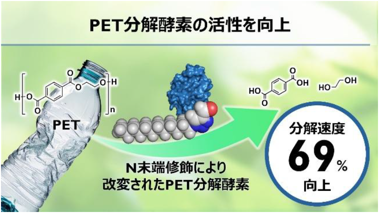 バイオリサイクルに革新：PET分解酵素の活性を69%向上〜疎水性アルキル鎖をN末端に連結する簡便な酵素改変技術を開発〜