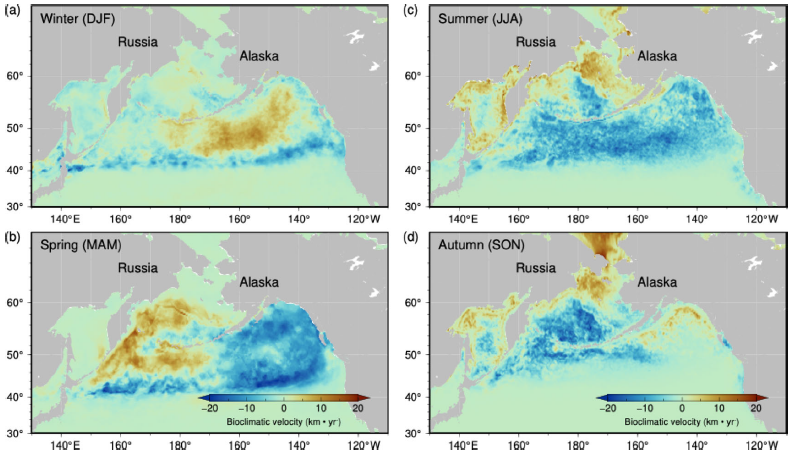 気候変動による生息環境変化が日本産サケを減少させる～サケ資源管理や保全への貢献に期待～
