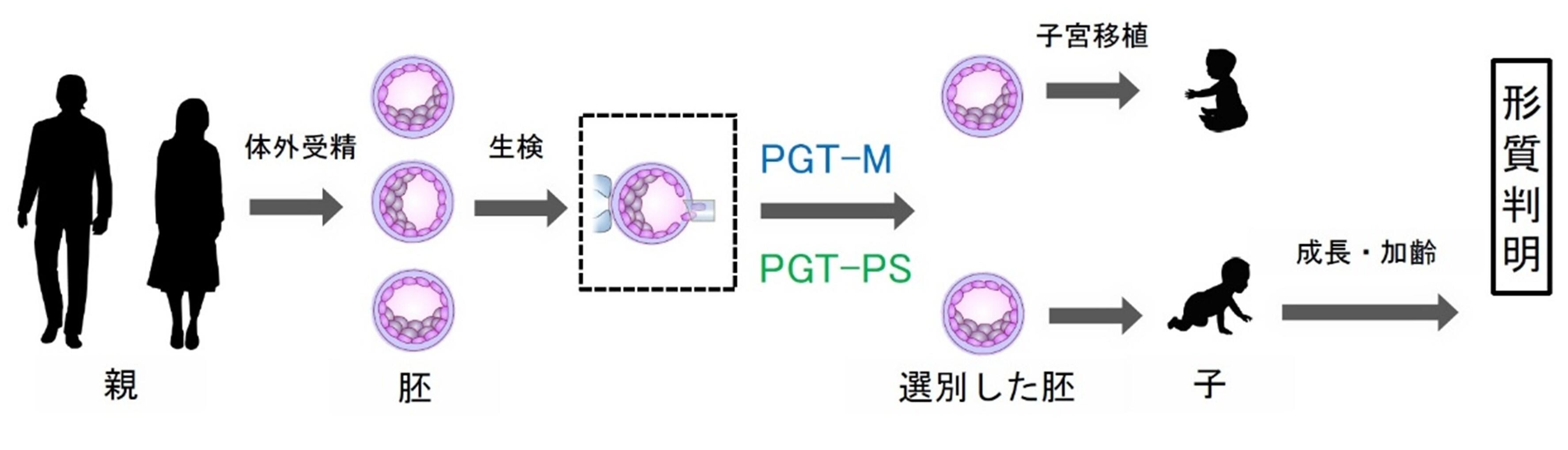 受精卵の多くの遺伝子を調べる生殖医療への提言～将来の子の健康や知能を予想する多遺伝子スコア検査の落とし穴と必要な対応～