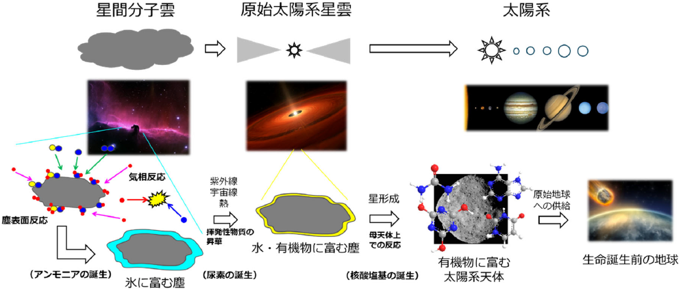 小惑星ベヌー試料から核酸塩基と高濃度の尿素を検出～小惑星環境での化学プロセスの絞り込みに成功～