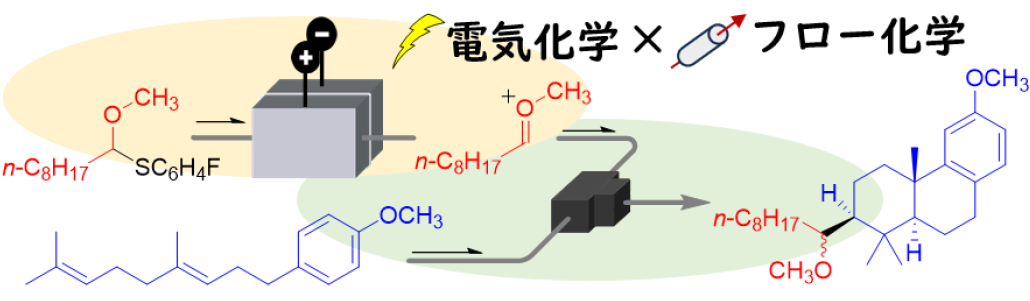 炭素カチオンによるポリエン環化反応に成功～電気化学とフロー化学の融合により天然物生合成機構解明と創薬プロセス開発に貢献～