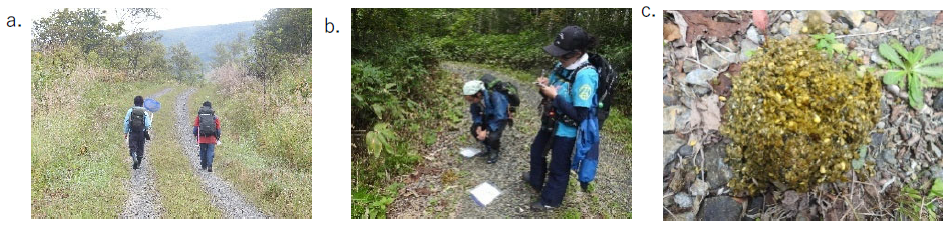 学生モニタリング調査でヒグマの農作物利用要因を解明～自然資源だけでなく、農作物の利用可能性を管理することが重要～