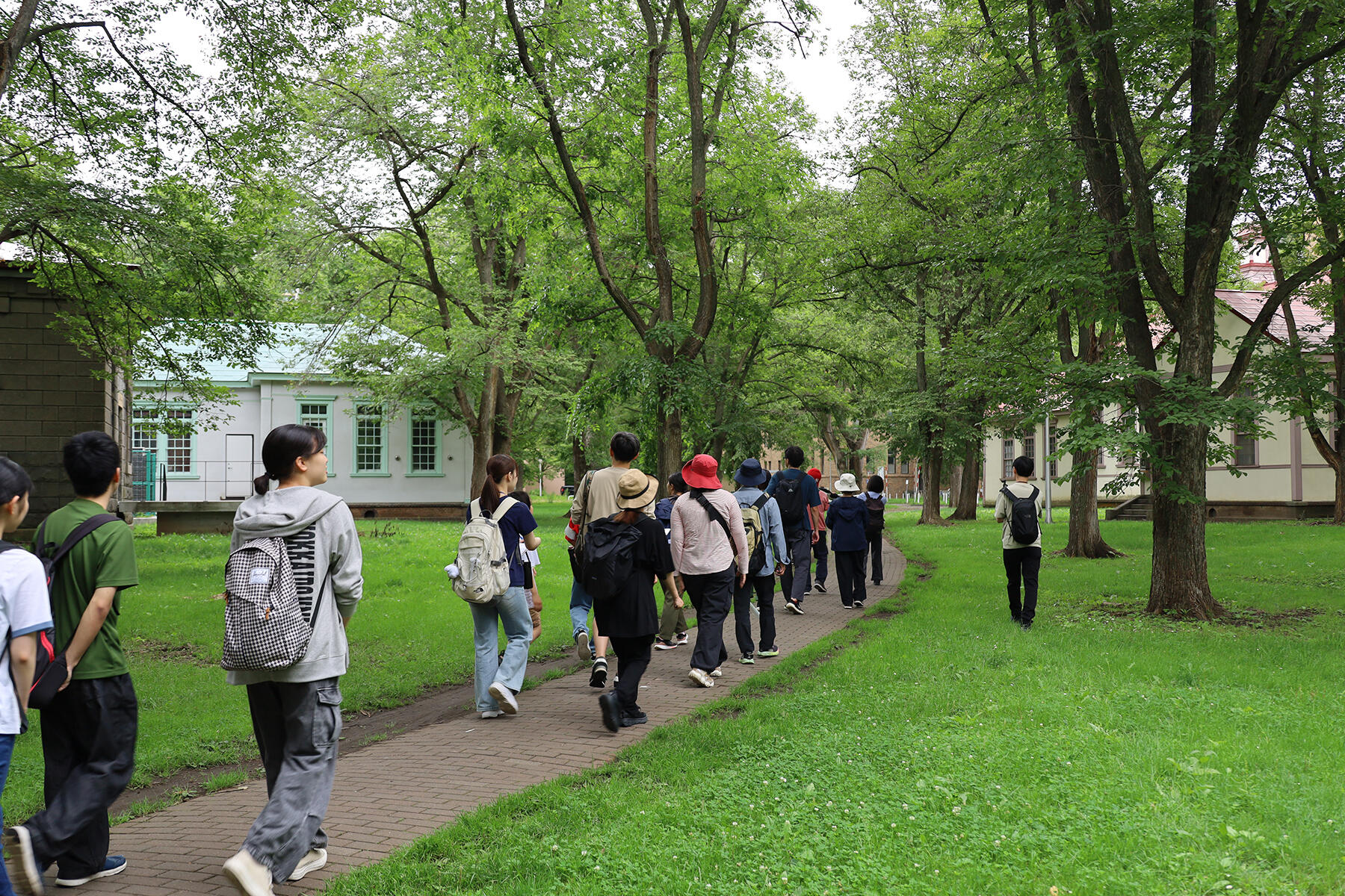 学生の案内でエルムの森を歩く参加者
