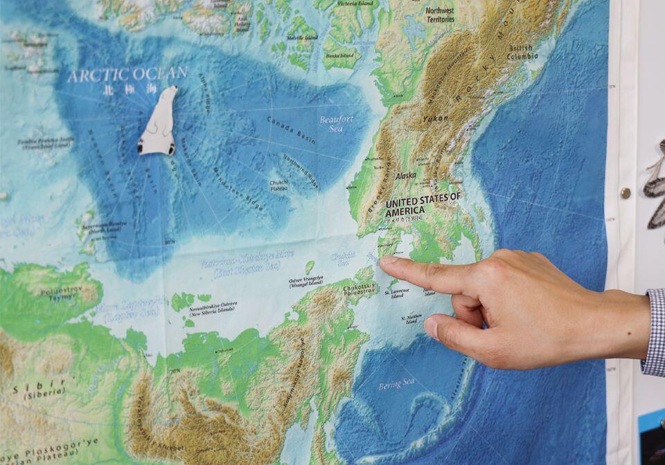 松野さんは北極域のチャクチ海やベーリング海で調査を行う(撮影:広報・社会連携本部 広報・コミュニケーション部門 Pinto Sohail Keegan)