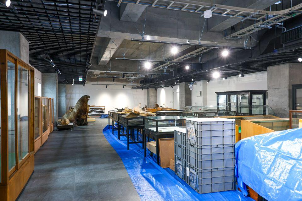 来年春の公開に向け準備が進められる展示室(撮影:長尾 美歩)