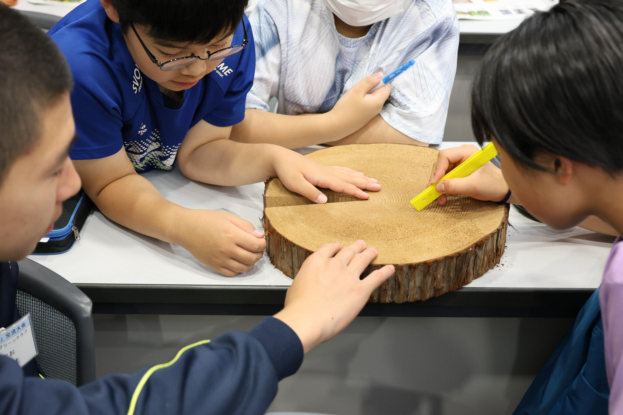 みんなで確認し合いながら根気強く年輪を数える子どもたち（撮影：川本 真奈美）