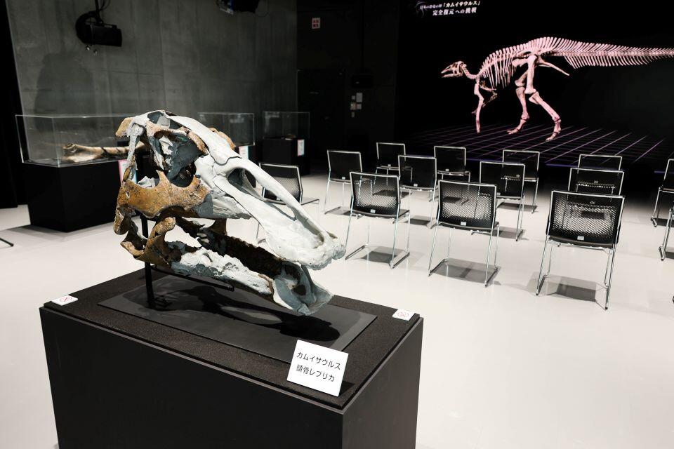 特別展では、全身骨格がコンピュータ上で再現される過程が放映されている(撮影:長尾 美歩)