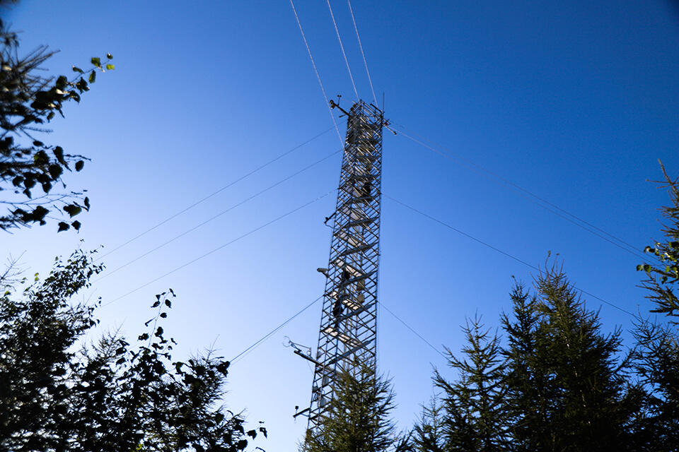 森林が放出・吸収するCO<sub>2</sub>量を観測する高さ30 mのタワー
