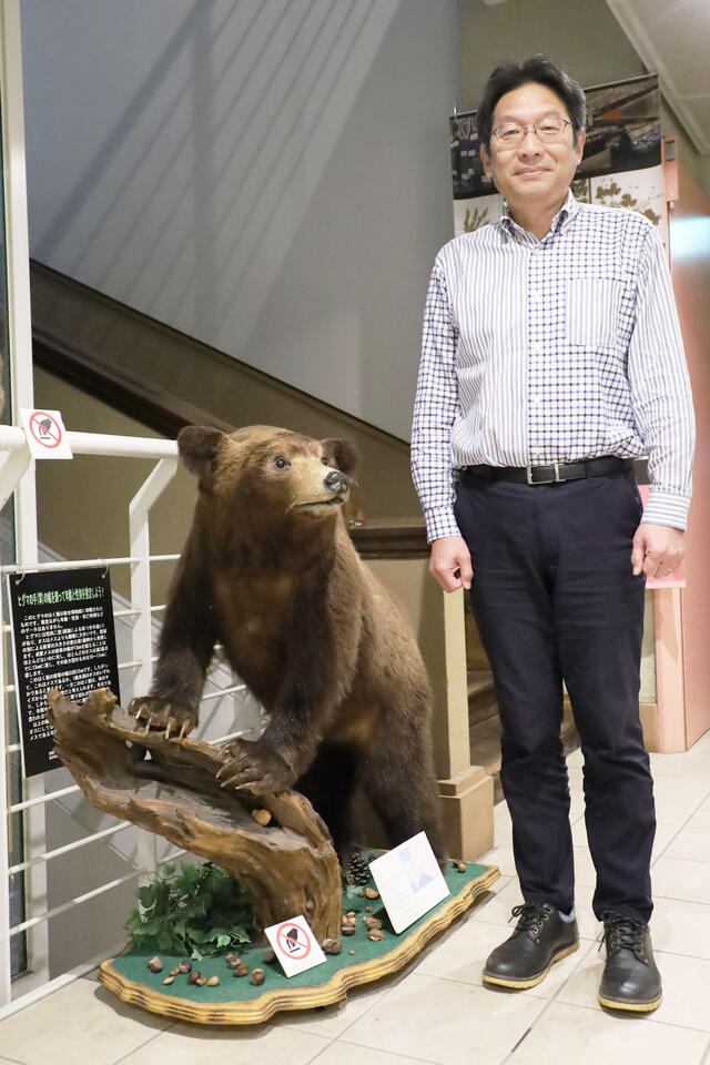 北大の総合博物館にあるヒグマのはく製と坪田教授。このヒグマは前掌の幅から、メスか1歳未満のオスと推定される（撮影：広報・コミュニケーション部門　川本真奈美）