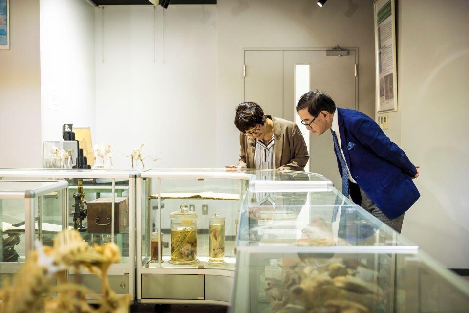 獣医学研究院内で一般公開されている標本展示室にて