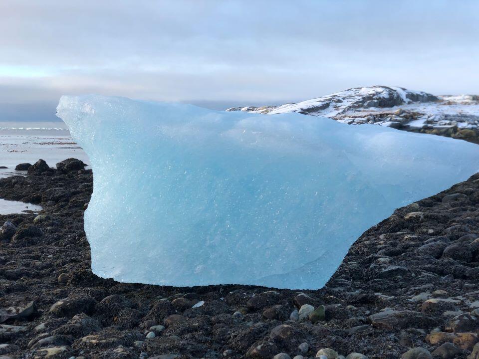 グリーンランド海辺の氷塊(提供:大西富士夫)