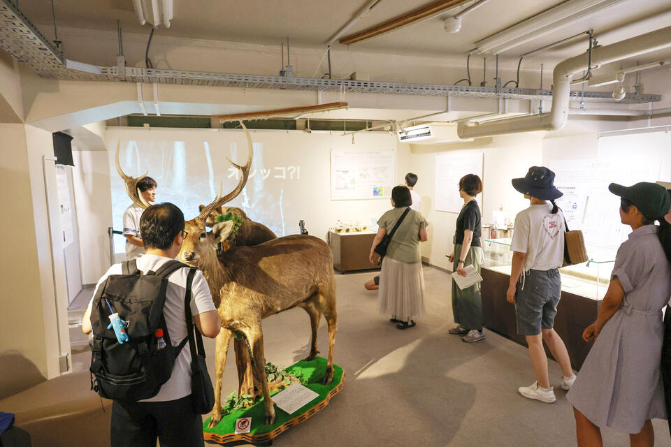 期間中、観光客や夏休みの子どもたちでにぎわう地球環境科学研究院の展示ブース(撮影:社会共創部広報課 長尾 美歩 )