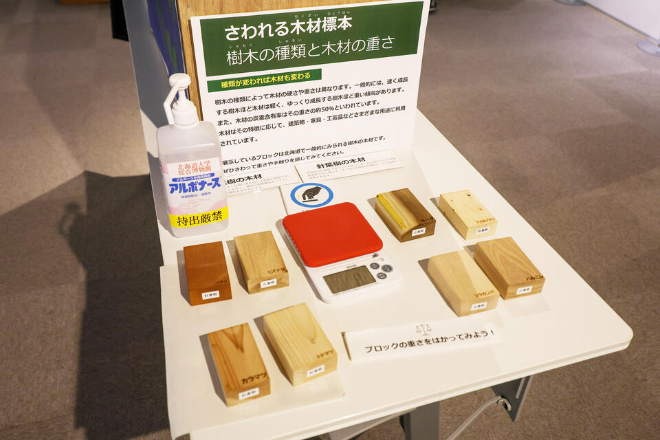 北方生物圏フィールド科学センターのブースでは体験できる展示も(撮影:社会共創部広報課 長尾 美歩 )