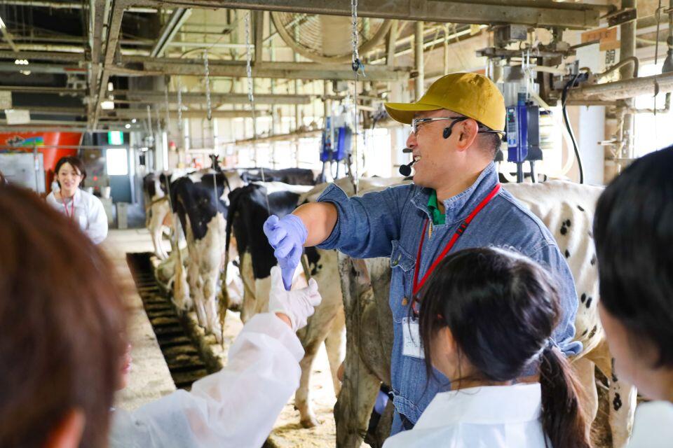 手しぼりのコツを説明する三谷准教授