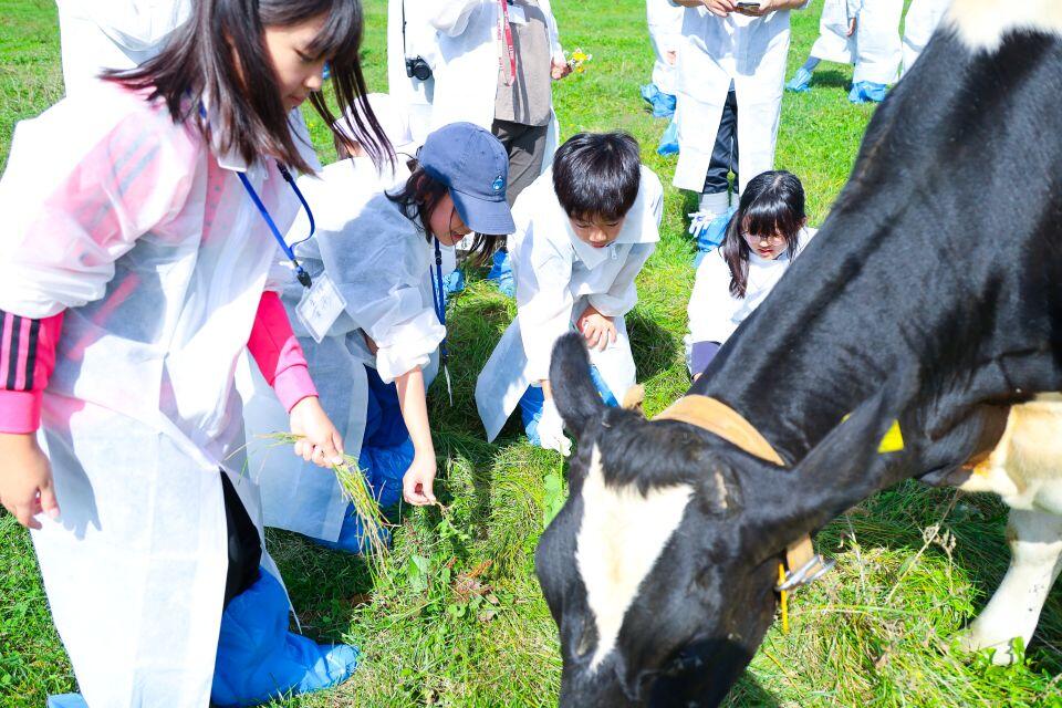牛に草を食べさせようと試みる子どもたち