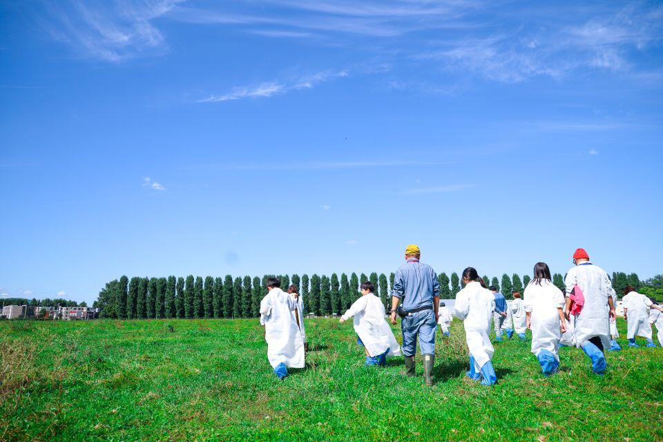広い放牧地の北側には平成ポプラ並木が見える