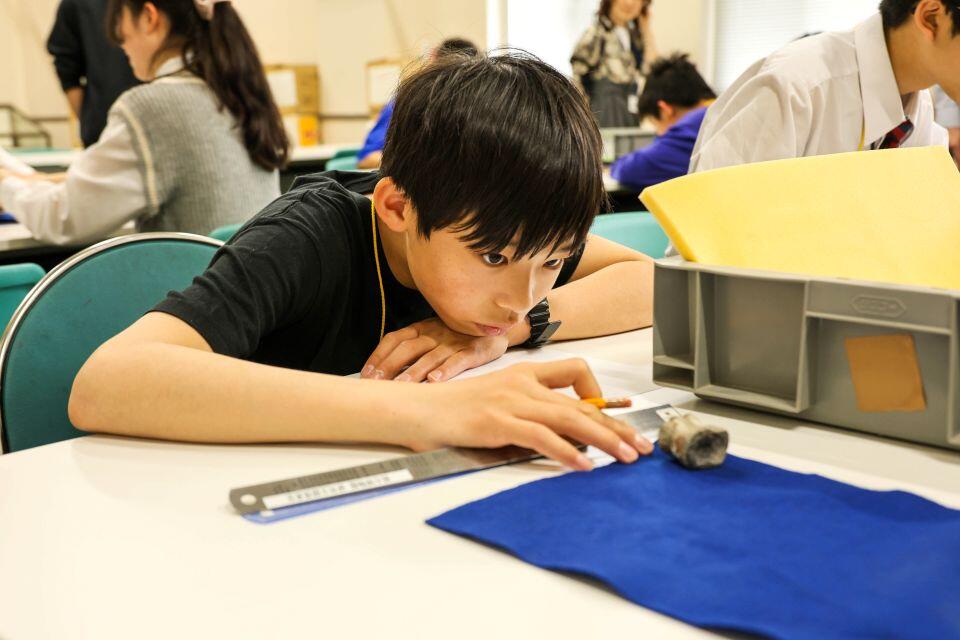 化石を観察する目は真剣そのもの