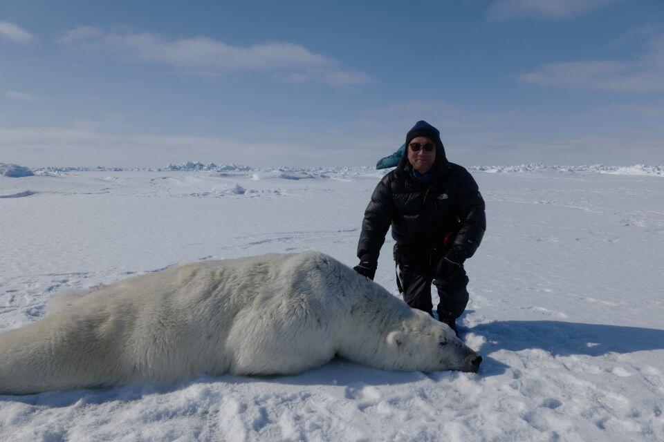 麻酔をかけられたホッキョクグマと坪田教授（提供：坪田敏男教授）