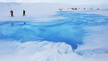 南極のラングホブデ氷河（写真提供：低温科学研究所 杉山慎 教授）