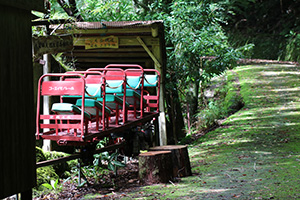 和歌山研究林