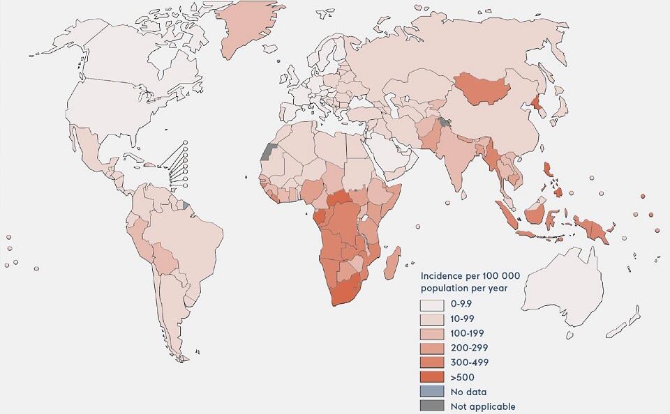 結核の推定感染率(WHOの2019年報告書から
地図はWHOの「Global Tuberculosis Report 2020」から複製（キャプション和訳：人口10万人あたりの感染件数、データなし、対象外）