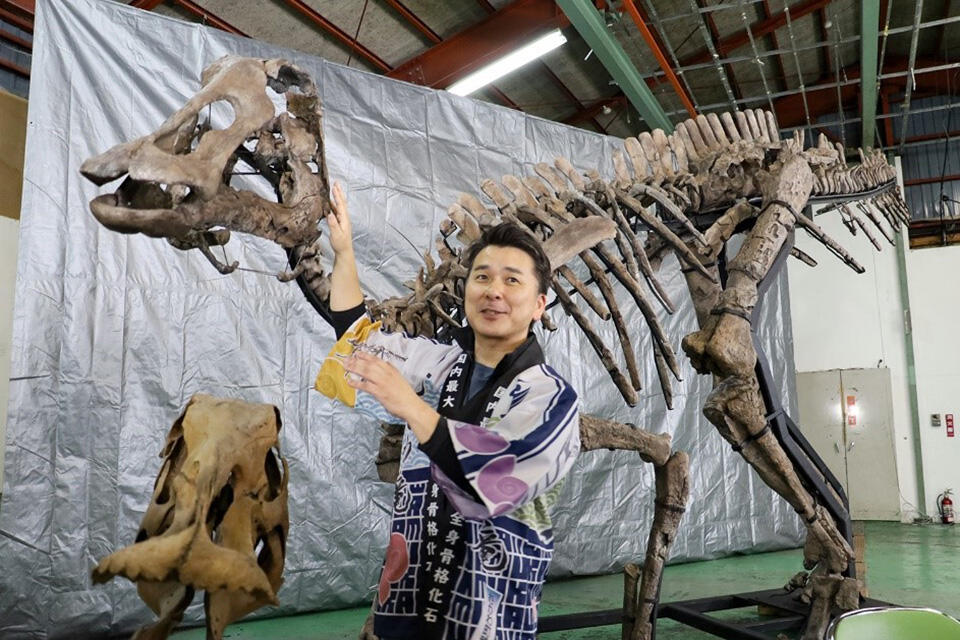 むかわ竜の復元骨格模型の前で記者の質問に応じる小林教授