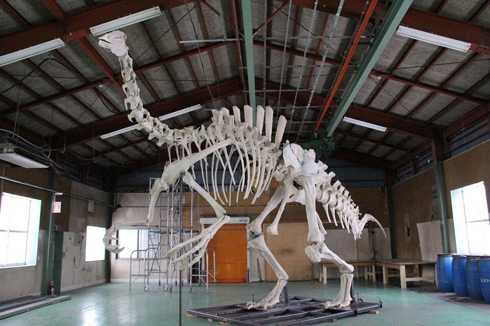 全長12メートル、高さ4.5メートルのデイノケイルス全身復元骨格模型